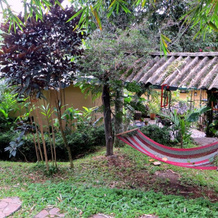 Pura Vida Hotel, 阿拉胡埃拉 — 照片 5
