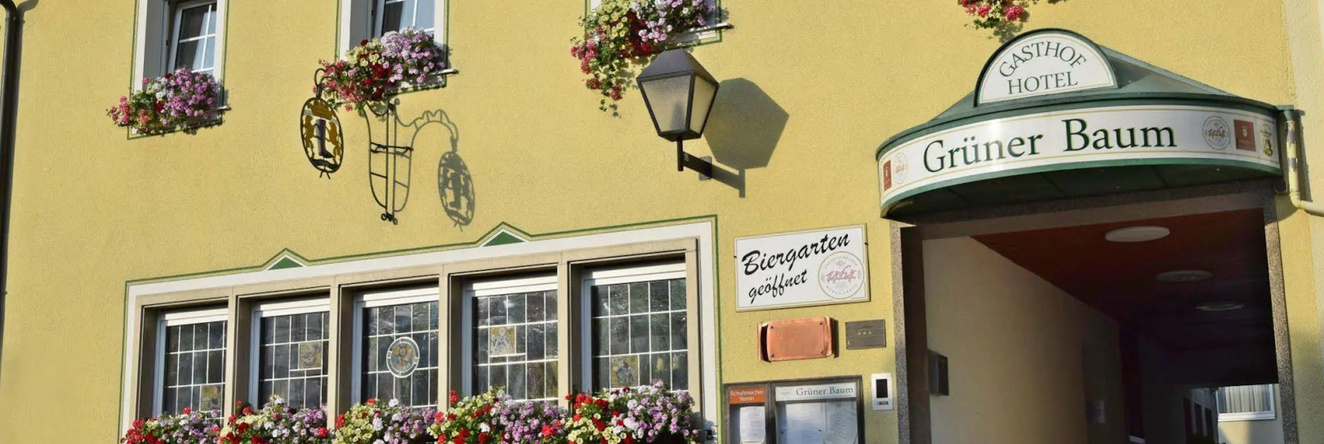 Hotel & Gasthof Grüner Baum, 奈拉 — 照片 1