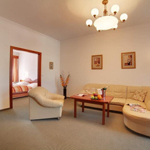 Wellness Hotel Luzan, Румбурк — фото 4