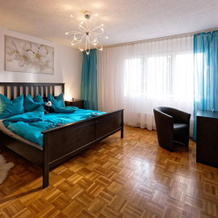 Max Aviation Villa & Apartments, 伯尔尼 — 照片 2