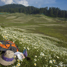 The Khyber Himalayan Resort & Spa, 古尔马尔格 — 照片 5