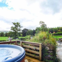 Ty Mawr Cottage, Llanuwchllyn — photo 4