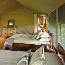 Rekero Camp Hotel, 马赛马拉国家保护区 — 照片 5