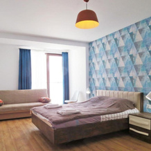 New Gudauri Apartment 543, Гудаури — фото 5