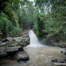 Baanlandao Resort Chiang Mai, 湄旺 — 照片 3