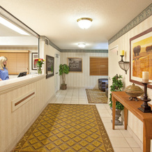 Hawthorn Suites by Wyndham Chicago Schaumburg, 绍姆堡 — 照片 2