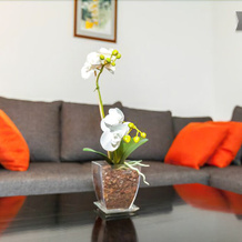 Apartment White Orchidea, Helsinki — photo 2