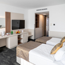 Airport Hotel Budapest, 韦切什 — 照片 4