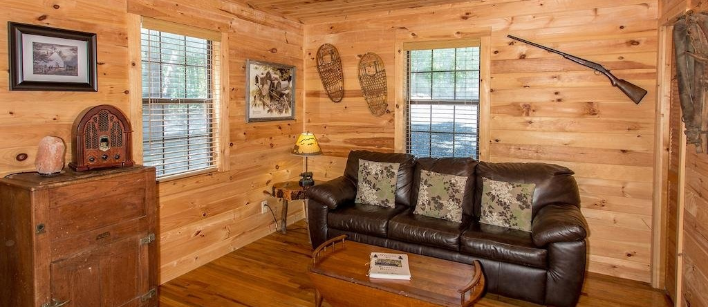 Bearadise Retreat Cabin, 埃利亚伊 — 照片 1