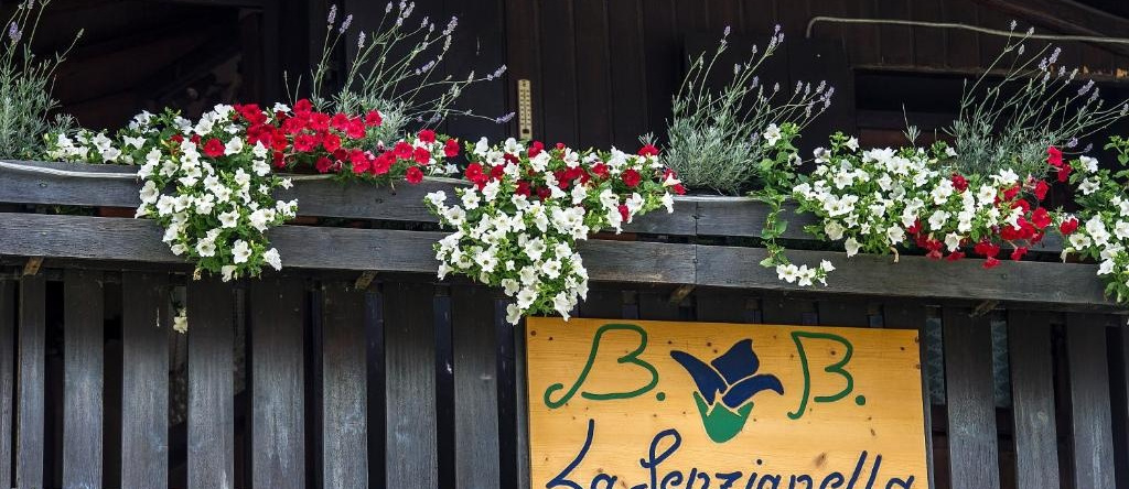 Bed and Breakfast La Genzianella, 佩拉罗洛迪卡多雷 — 照片 1