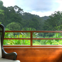 Playa Cativo Lodge, 戈尔菲托 — 照片 5