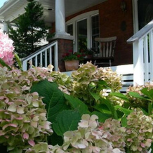 Simcoe Suites On The Henley B&B, Сент-Катаринз — фото 2