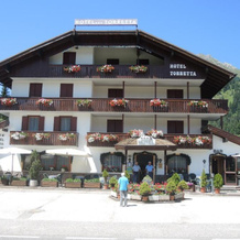 Hotel Torretta, Предаццо — фото 3