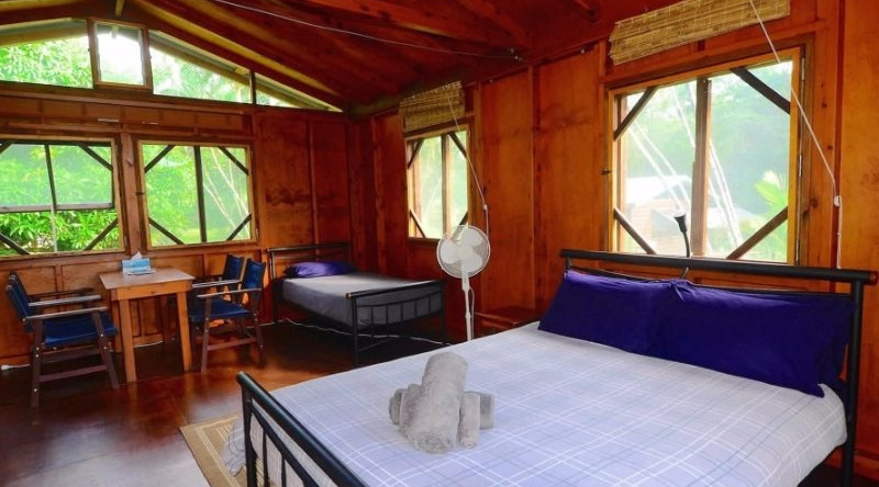 Daintree Rainforest Bungalows, Cow Bay — photo 1