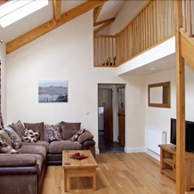 4 Bythynnod yr Aran, Bala — photo 3
