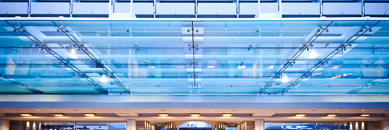 Hyatt Regency O'Hare Chicago, 罗斯蒙特 — 照片 1