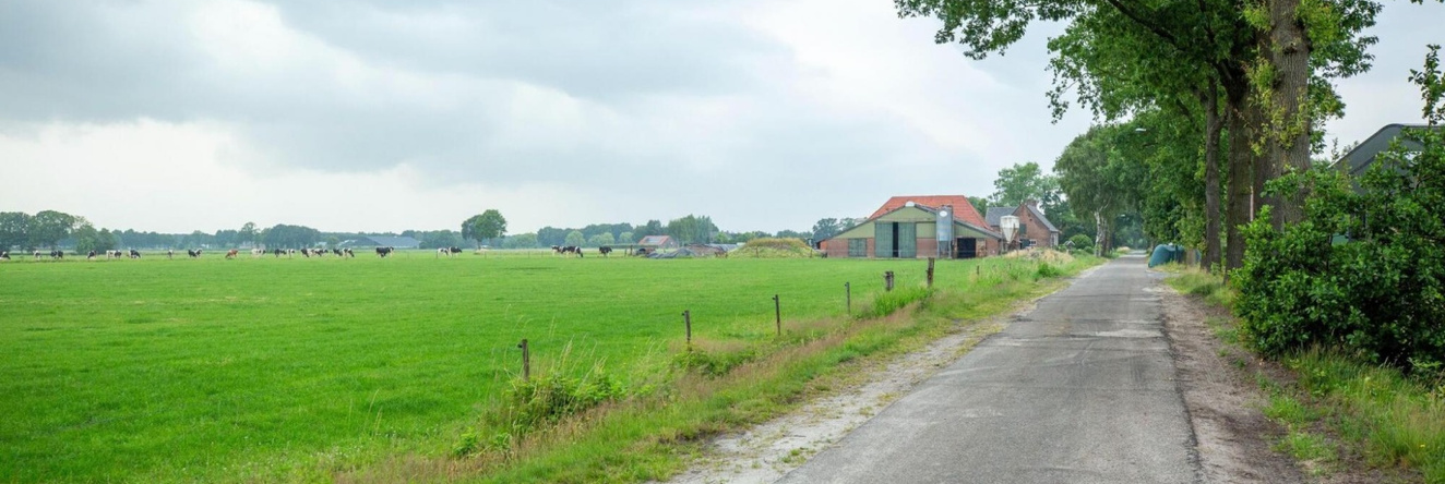 Holiday Home in Forested Netherlands With Terrace, Goirle — photo 1