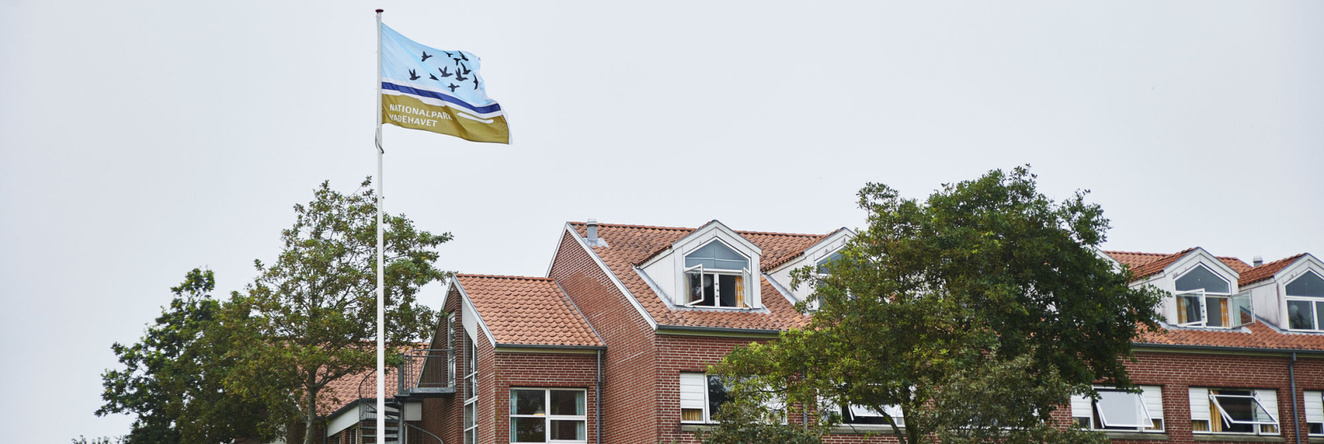 Danhostel Ribe, Ribe — photo 1