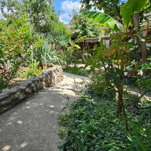 Yanaky Guest House, 莫尔斯科耶 — 照片 5