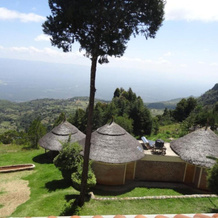 Kilima Resort, 伊滕 — 照片 5
