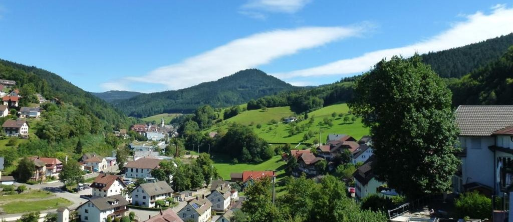 Ferienwohnung Schwarzwaldsteig, 巴特彼得斯塔尔-格里斯巴赫 — 照片 1