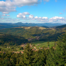 Maison Independante De Montagne En Alsace, Бельфос — фото 4