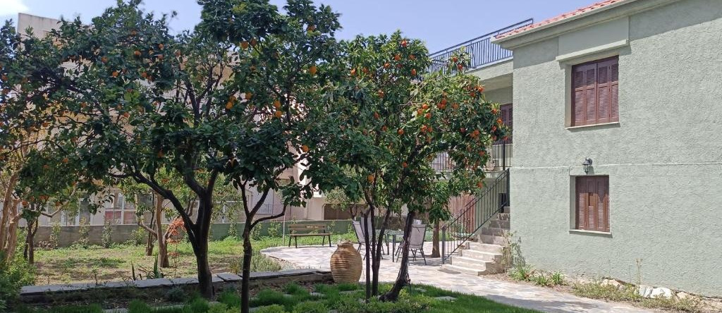 Betty's Garden House, 新安希亚洛斯 — 照片 1