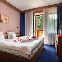 Alexandra Wellness Hotel, Липтовски-Ян — фото 5