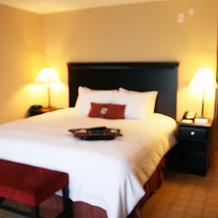 Hampton Inn Dade City - Zephyrhills, 戴德城 — 照片 5