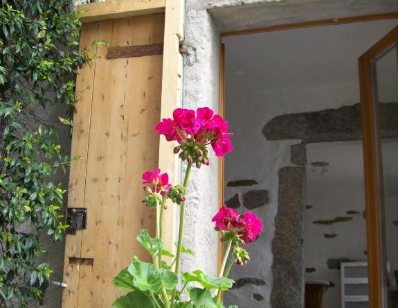 Apartment Banfi, Brissago — photo 1