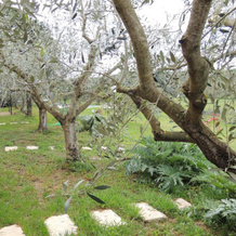 Agriturismo Podere Borgognano, 马萨马里蒂马 — 照片 2