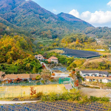 Danpoong Maul Pension, Jeoksang-myeon — photo 3