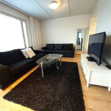 Local Nordic Apartments - Arctic Fox, Jyvaskyla — photo 3