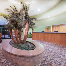 Ramada Tropics Resort / Conference Center Des Moines, 厄班代尔 — 照片 2
