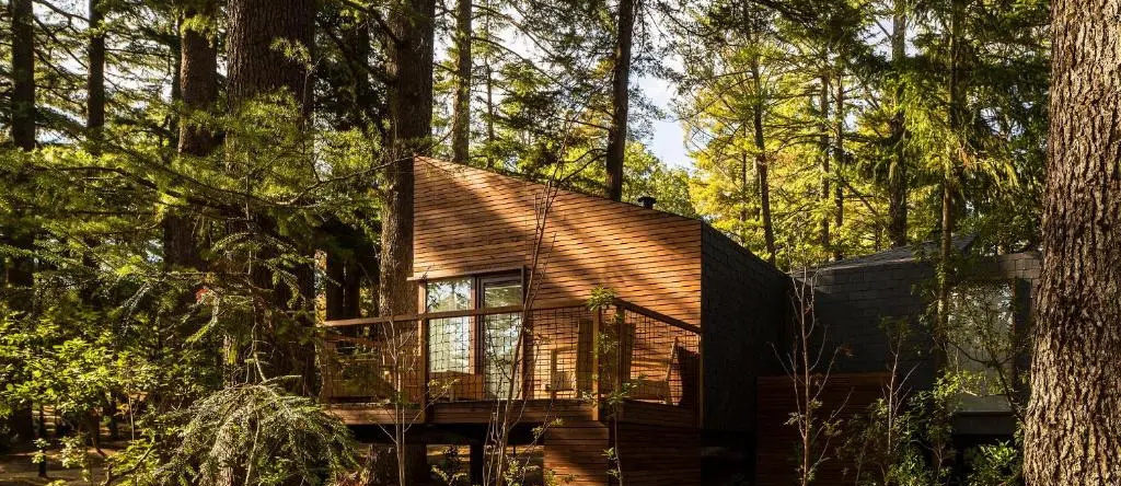 Pedras Salgadas Spa & Nature Park, Вила-Пока-ди-Агиар — фото 1