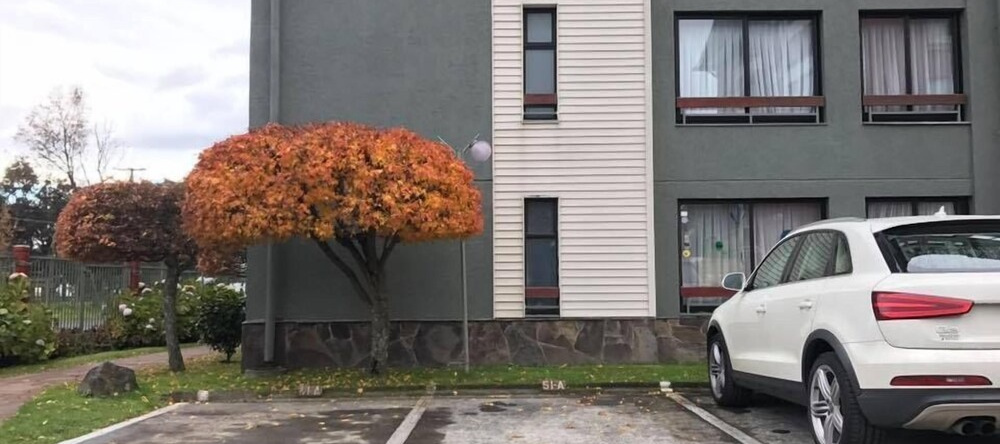 El Nido Villarrica Apartment, 比亚里卡 — 照片 1