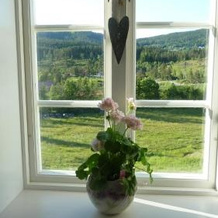 Gamlestua Tuddal, Telemark, Notodden — photo 5