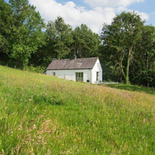 Sardis Cottage, 兰加多格 — 照片 2