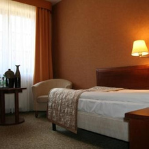 Hotel Centuria Wellness & SPA, 波德扎姆切 — 照片 3