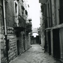 Palazzo Lupicini Affittacamere, Bisceglie — photo 5