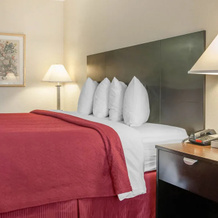 Comfort Inn, Эффингем — фото 5