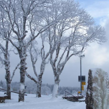 Hôtel – Restaurant de La Vue-des-Alpes, 瓦尔-德-吕兹 — 照片 3
