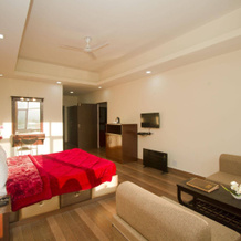 Snow Touch Resort (Shri Nath Group), 纳加尔 — 照片 5