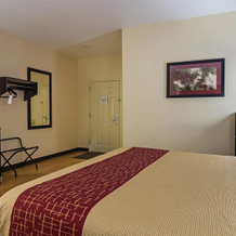 Red Roof Inn & Suites Lake Orion/ Auburn Hills, Шелби-Тауншип — фото 4