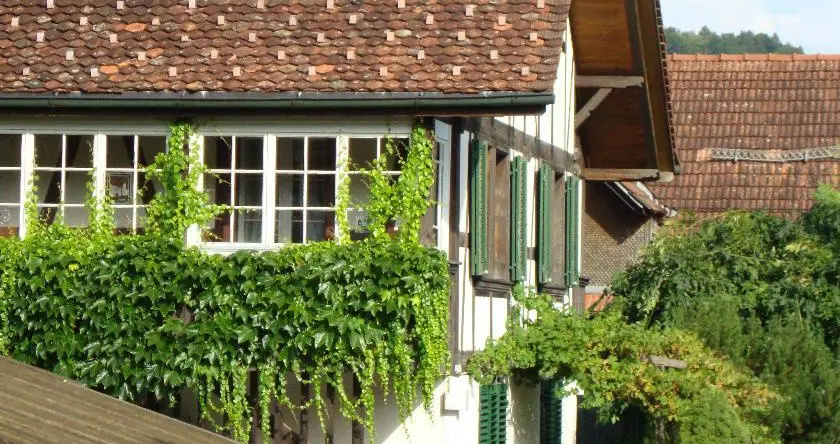 B&B Liechti Blumen, Фрутиген — фото 1