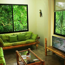 Jungle Vista Boutique Hotel, 克波斯 — 照片 2