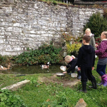 Cosy Stone Cottage on Llanllwni Mountain, 兰比斯特 — 照片 4