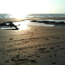 Relais de la Liberte - Utah Beach, Sainte-Marie-du-Mont — photo 4