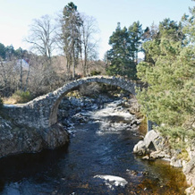 Rowan Cottage, Carrbridge — photo 2
