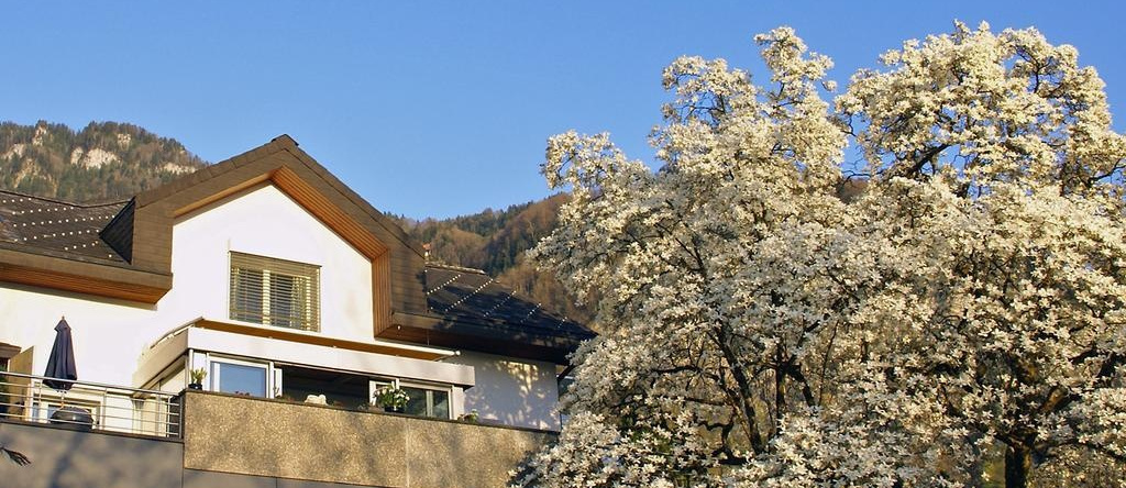 Chateau Schüpbach, 菲茨瑙 — 照片 1